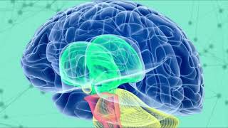 Download lagu Stem cell treatment for cerebral palsy #stemcellstherapy #stemcelltreatment #cerebralpalsy #cp mp3 Download lagu Stem cell treatment for cerebral palsy #stemcellstherapy #stemcelltreatment #cerebralpalsy #cp mp3