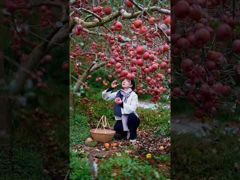 Do you love theses tasty fruits 😋🍊🥭🍎#shorts #nature #fruit