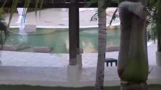 Now Larimar Punta Cana Preferred Club Deluxe Pool View Room