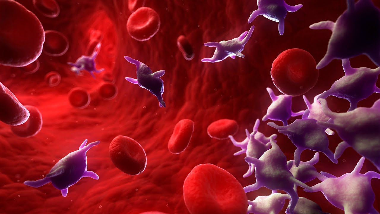 USMLE 1 Hematology 2nd (Anemia)