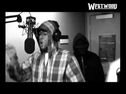 Shimmer freestyle - Westwood