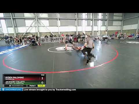 55-55 Lbs Round 3 - Ayden Palomino, Washington Vs Jackson Collett, Team Real Life Wrestling 6da7