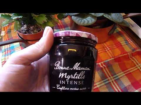 Recette Smoothie mûre cassis intense