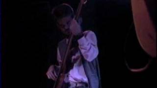 David Garza and the Lovebeads Trees1992 Butterflies