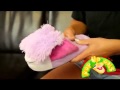 Pop Up Pals
