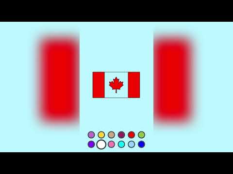 Color By Memory: Flag Painting
