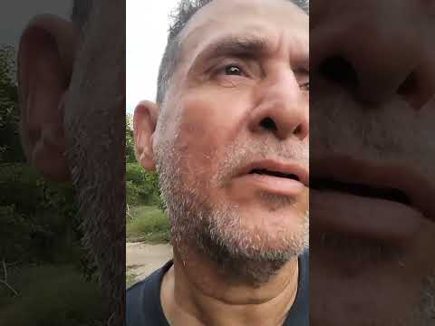 En la zona bananera