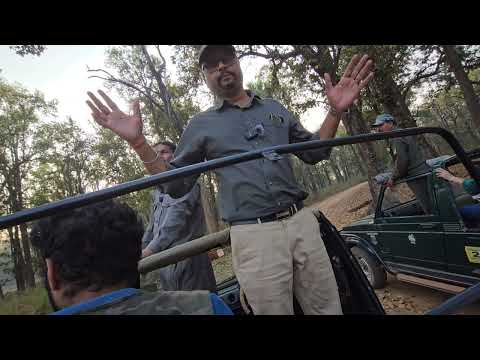 Safari At Kanha Tiger Reserve । कान्हा टाईगर रिजर्व जीप सफारी । Gypsy Safari In Kanha Tiger Reserve