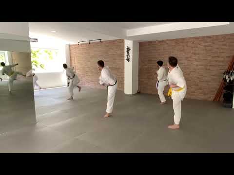 Ju No Kata Sono Ichi - Kyokushin-kan Kata 1