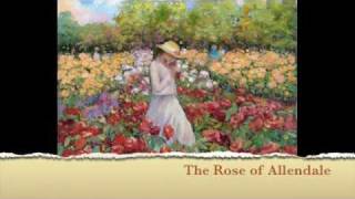 Rose of Allendale