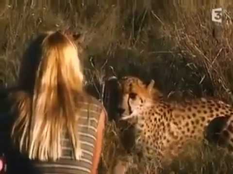 Marlice Van Vuuren with Cheetahs
