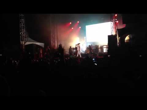 Montreal reggae fest 2013 part 2