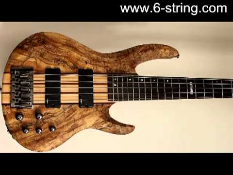 ESP LTD B-5 Spalted Maple Bass Guitar
