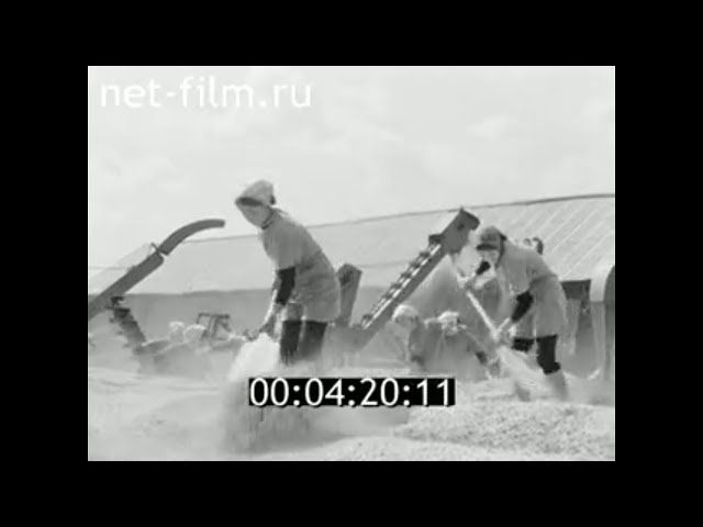 1977г. Степная Шентала. колхоз имени Вахитова. Алексеевский район. Татарстан