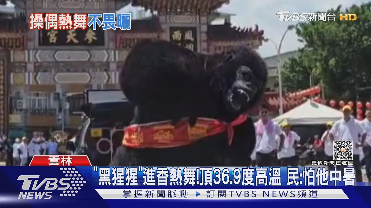 「黑猩猩」進香熱舞！頂36.9度高溫　民：好怕他中暑