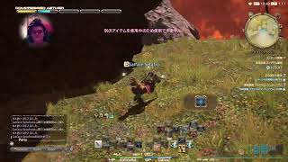 [レベリングとか]まったり FF14 やっていく