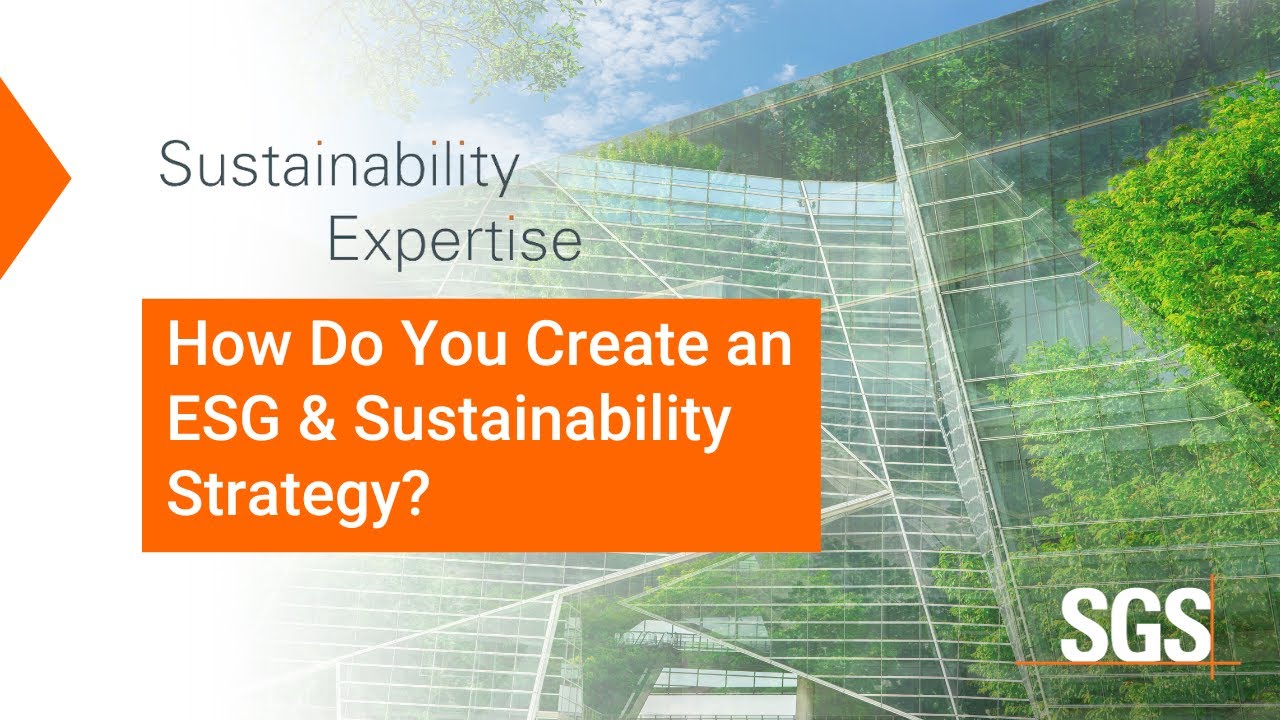 How Do You Create an ESG & Sustainability Strategy?