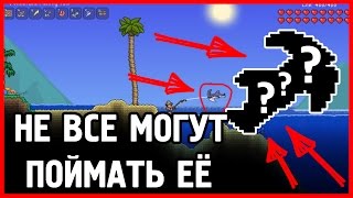 Терария вики вся рыбалка