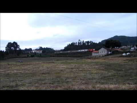 Comboio Especial n.º 13813 [PTG] - Midões