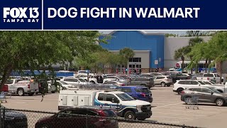 Download lagu Dog fight breaks out inside Palm Harbor Walmart, 5 people injured mp3