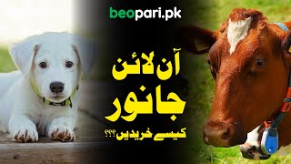 How to buy & Sale Animals and Pets | Beopari.pk