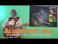 BLUEBERRY HILL (Elvis Presley - Duane Eddy Sound)