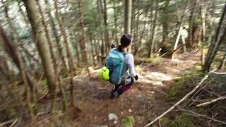 2020-11-25 辻山－オオナジカ峠