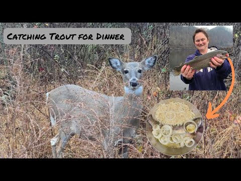 Trout Fishing Wolf Creek Dam