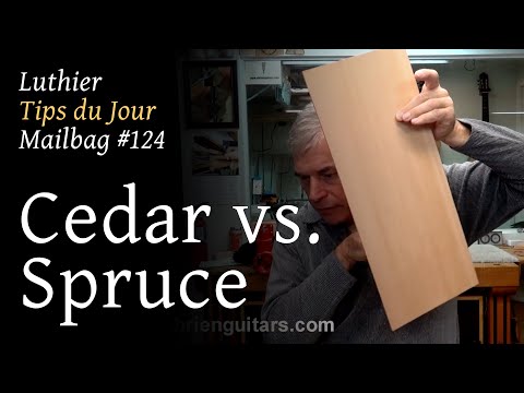 Luthier Tips du Jour Mailbag 124 - Cedar vs Spruce