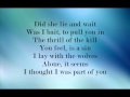 Madilyn Bailey - She Wolf (Lyrics) 