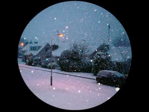 DJ WHIPR SNIPR & Birdwatcher - Letitia's Dream