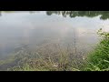 Akhirnya Strike Ikan Ini Lagi