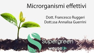 Microrganismi effettivi o efficaci (EM) - Cosa sono e a cosa servono - Lotta biologica con batteri