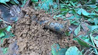 Download lagu @shorts recovered zamboanga treasures mp3 Download lagu @shorts recovered zamboanga treasures mp3