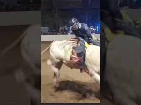 Un toro enorme. pero disfrute la jugada