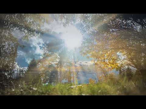 Puiu Chibici si Dorin Cazacu - Pe cale