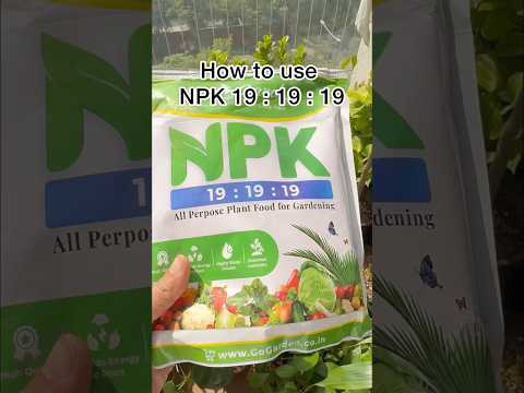 How to use NPK 19 : 19 : 19 for indoor and outdoor gardens 👩‍🌾🪴 #plantstoriesbypoojaaparajita