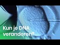DNA veranderen in een oercel | Het Klokhuis