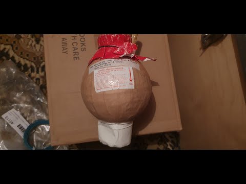 5 inch (125mm) San Tai shell | Crackling gold palm tree w/ Rising crackling gold trunk