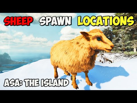 ASA: BEST Ovis Spawn LOCATIONS | ARK Survival Ascended The Island