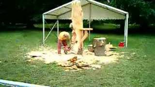 preview picture of video 'Tatton Park Chainsaw Carving Clip 2'