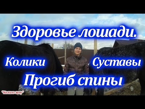 Остеоартроз коленного сустава и велосипед Массаж при болях шеи и плеч