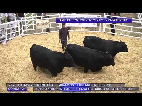 Remate Cabaña " El Ponoy" 14,00 Hs