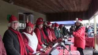 preview picture of video 'Fenelon Falls - Santa Day Events 2014'