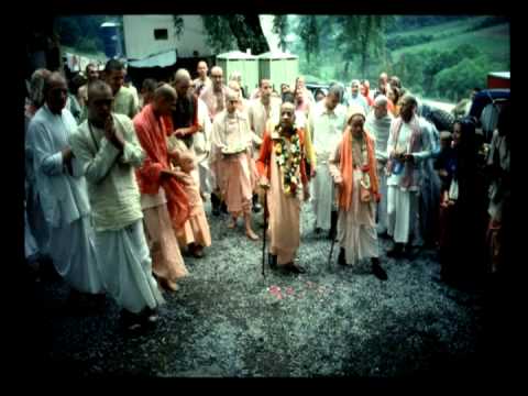 How to Use This Body (Morning Walk)