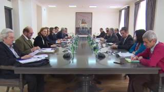 Minister of Foreign Affairs of Armenia received deputies of the European Parliament