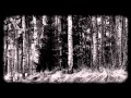 Amberian Dawn He Sleeps In A Grove 