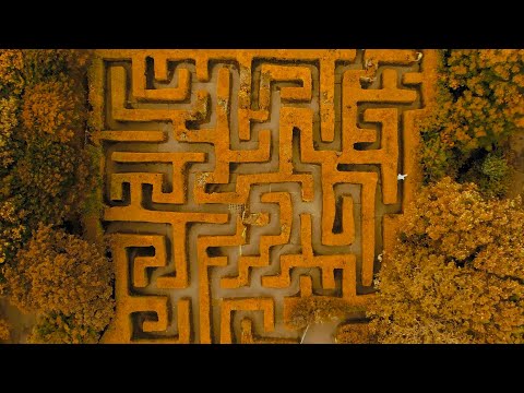 TTRRUUCES - Bad Kids (Official Video)