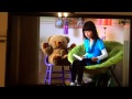Disney Jr