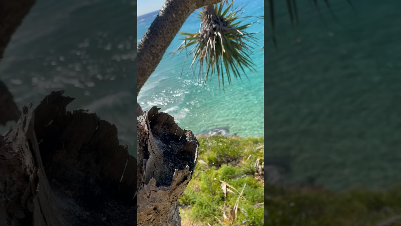 YouTube Short thumbnail